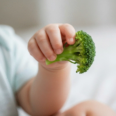 Close-up of a baby's hand holding a piece of cooked broccoli, soft focus background, no text, no words, no typography, no labels, clean image